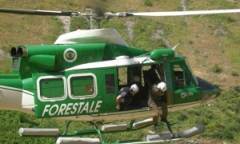 convenzioni-corpo-forestale_opt Convenzioni psicologa psicoterapeuta Foggia